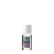 Load image into Gallery viewer, Kings Novelties Eucalyptus Lavender Essential Oil 10ml
